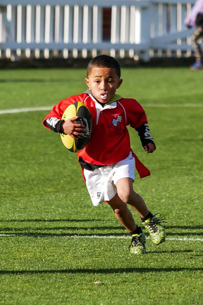 Pre-season training | Marist St Pats Rugby